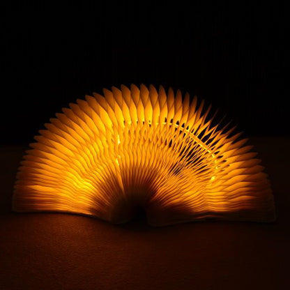Paper Lamp